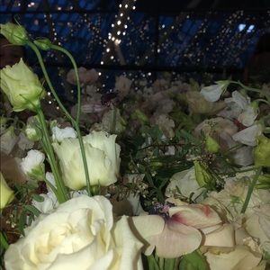 Meet your Posher, Lexi